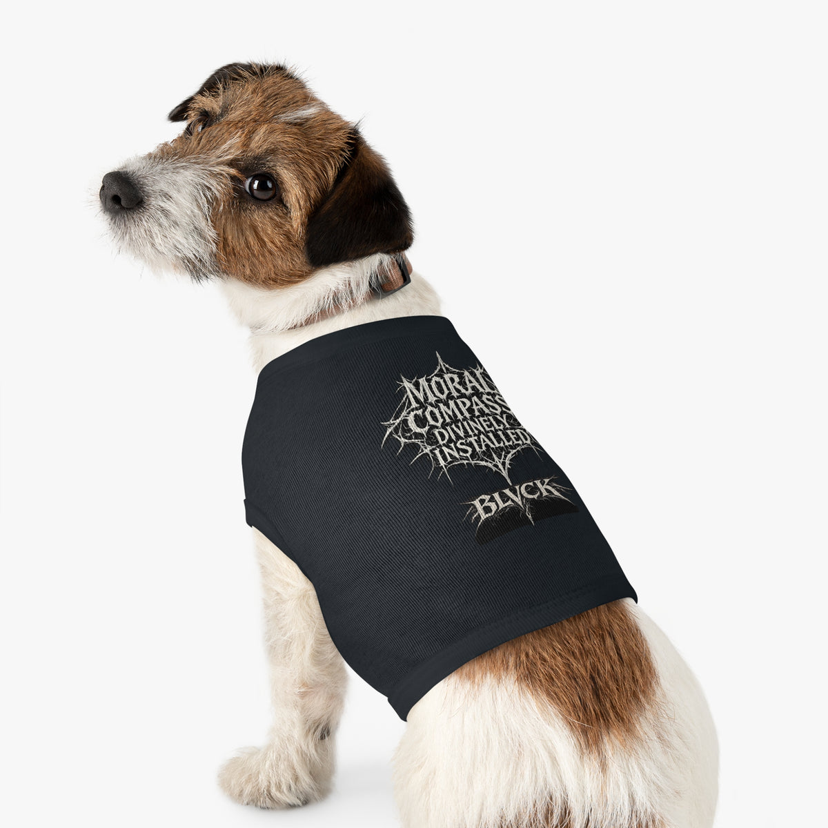BLVCK // Moral Compass Divinely Installed - Animal Roommate Shirt
