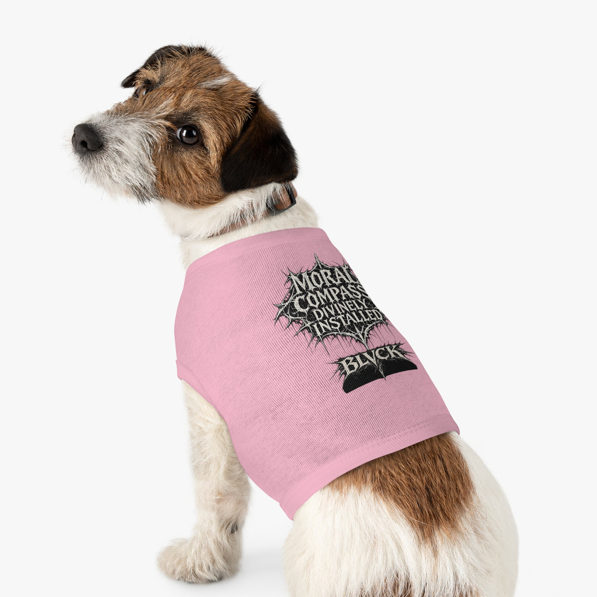 BLVCK // Moral Compass Divinely Installed - Animal Roommate Shirt
